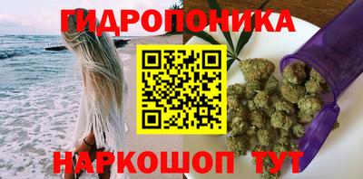 спиды Пугачёв