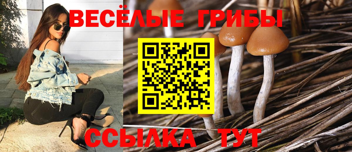 Галлюциногенные грибы ЛСД  Вход с VPN  Псилоцибиновые грибы Psilocybe  Ногинск 